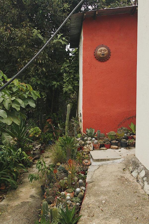 Cabana Campestre En Oaxaca Extérieur photo