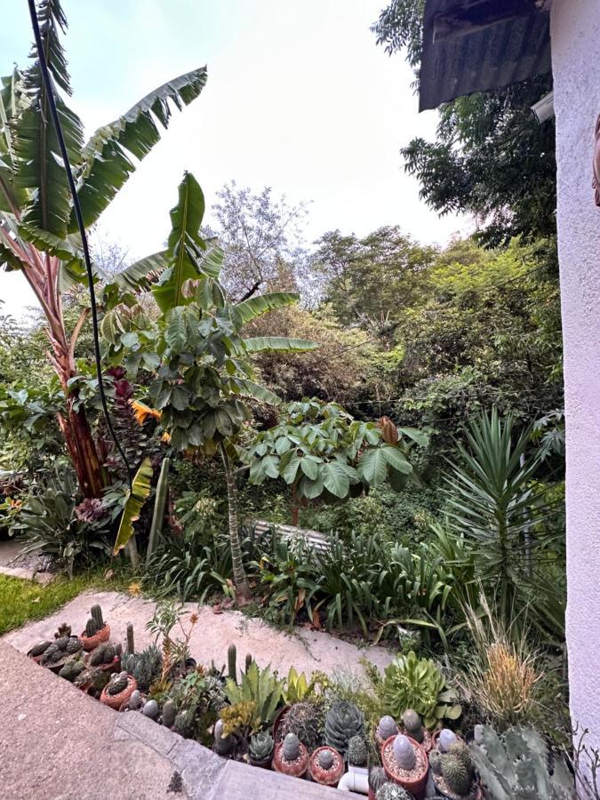 Cabana Campestre En Oaxaca Extérieur photo